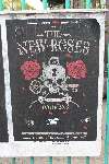 The-New-Roses-06-Mannheim-29-04-2016_thumb